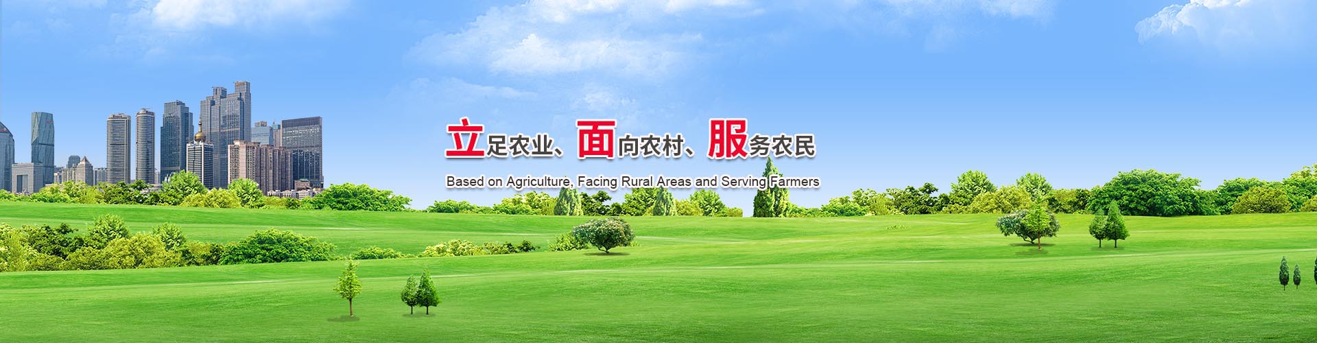 江蘇宏天食品有限公司,泓天草菇老抽.泓天紅燒醬油,泓天香醋.